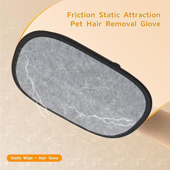 CleanPaws Glove