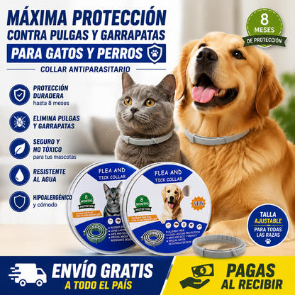 🐶🐱 Collar Antipulgas y Garrapatas para Perros y Gatos – Protección hasta 8 Meses 🛡️🌿💧