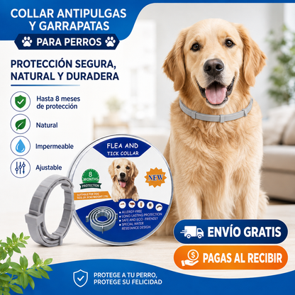 🐶🐱 Collar Antipulgas y Garrapatas para Perros y Gatos – Protección hasta 8 Meses 🛡️🌿💧